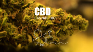 best high cbd strains for relaxing cbd molecule