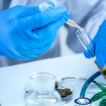 Father of Cannabis Research makes new discovery