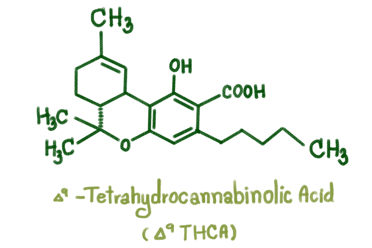 cannabinoids 1