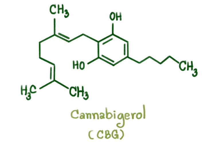 cannabinoids 5