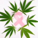 Cannabis For Cancer