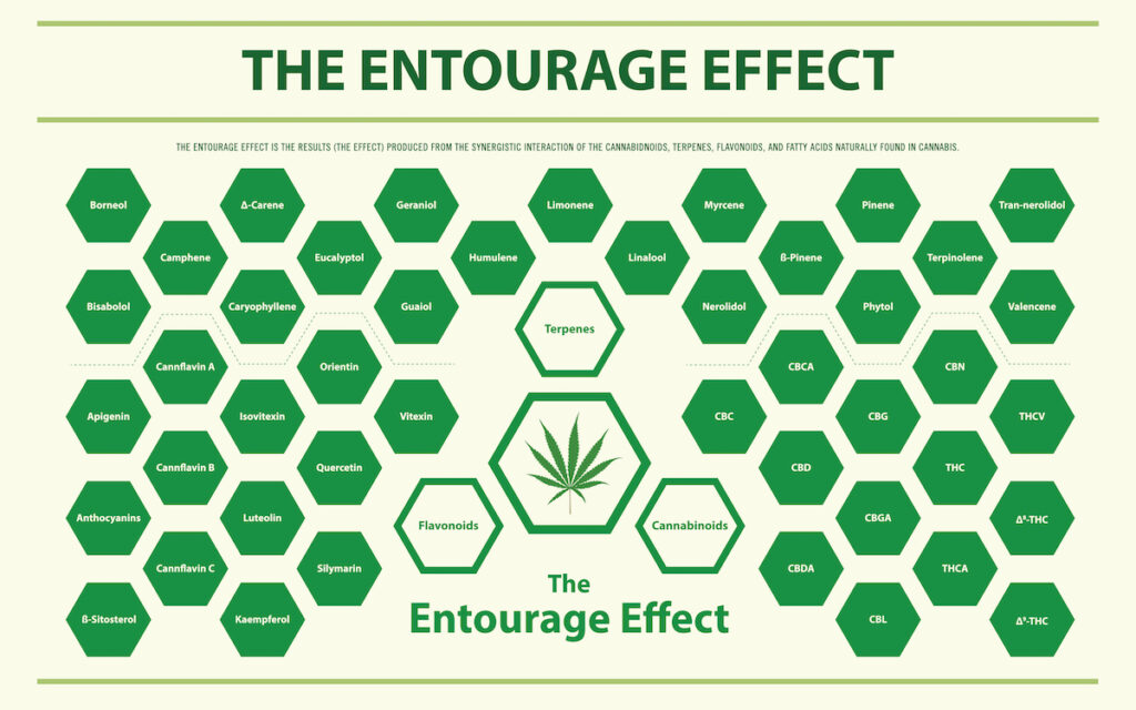 The Entourage Effect of THC and CBD Together