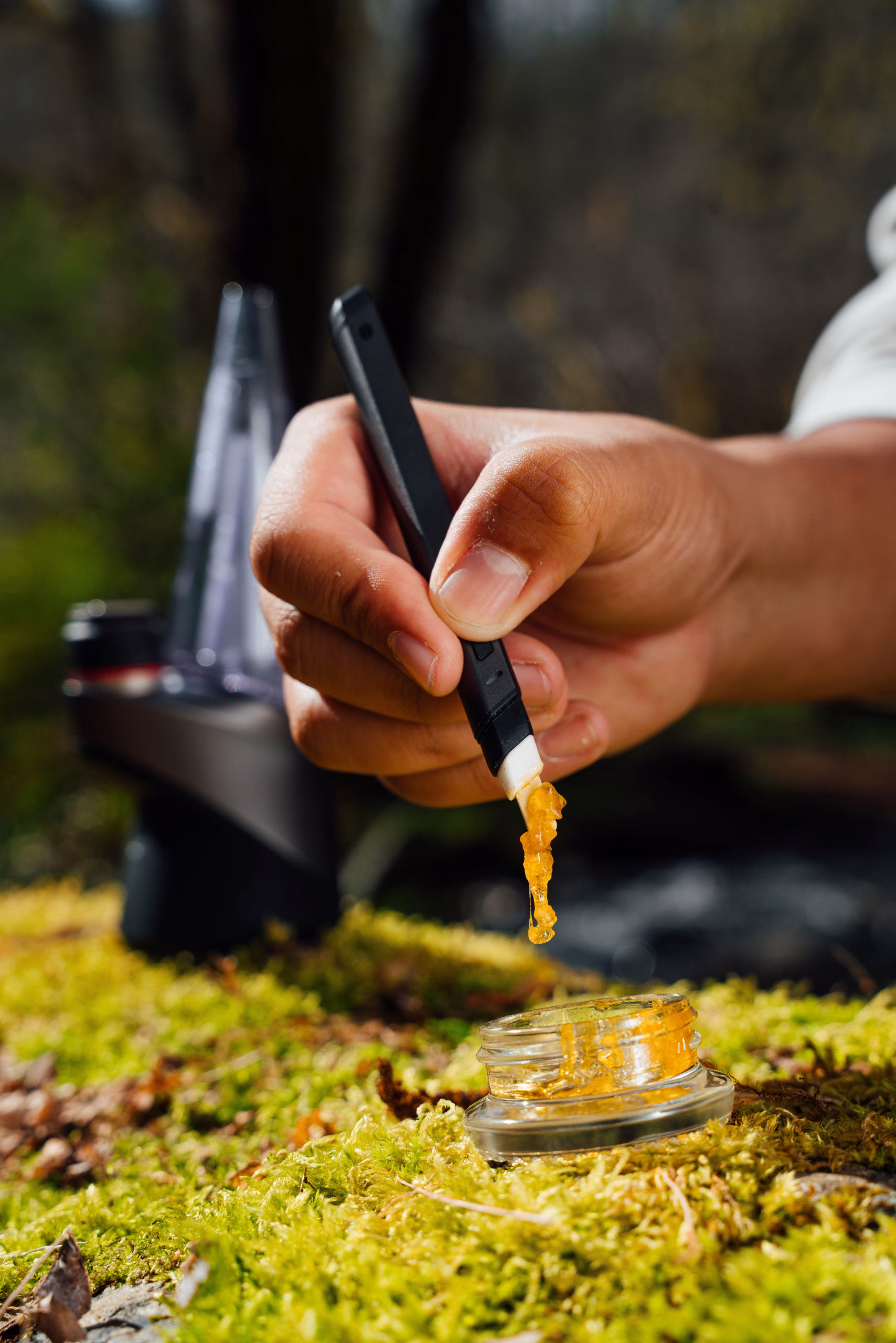 Hand using a dab tool to scoop golden cannabis concentrate dripping into an open glass jar outdoors on moss.