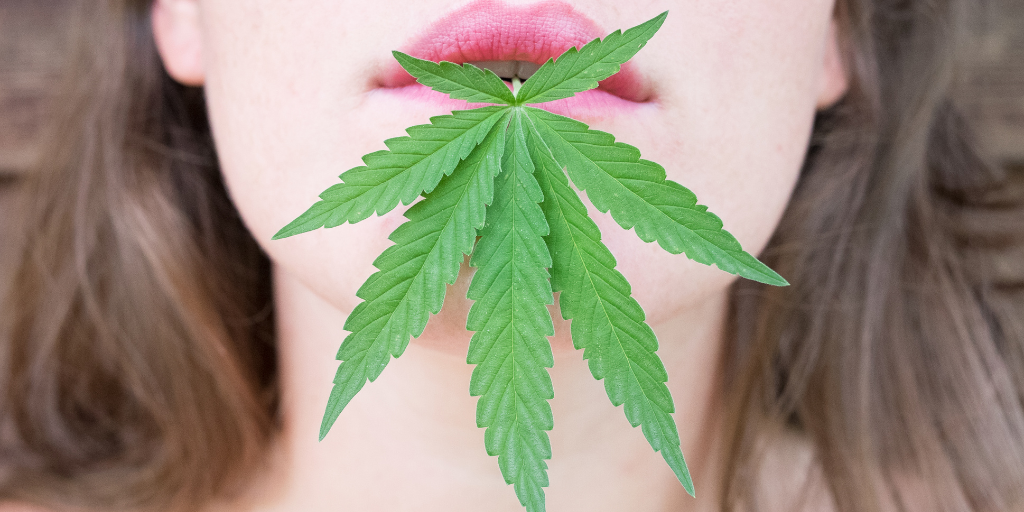 Close-up of a person’s lips partially covered by a green cannabis leaf, symbolizing cannabis use or culture.