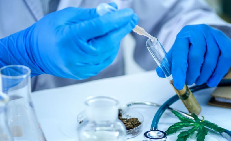Scientist wearing blue gloves uses a dropper to add liquid to a test tube during cannabis research, with lab equipment and a cannabis leaf on the table.