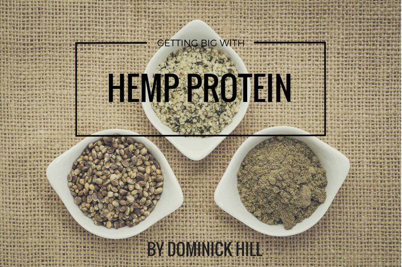 Flat-lay image of three white bowls containing hemp seeds and hemp protein powder on a burlap background with the text Getting Big with Hemp Protein by Dominick Hill.