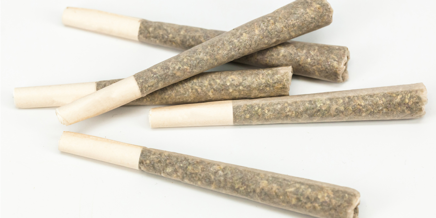 Several cannabis pre-rolled joints with paper filters arranged on a white background.
