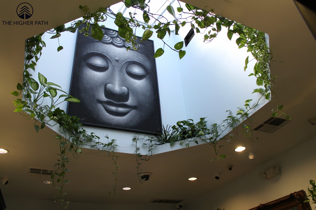 Interior of The Higher Path dispensary featuring a large Buddha artwork surrounded by hanging green plants and soft ceiling lighting.