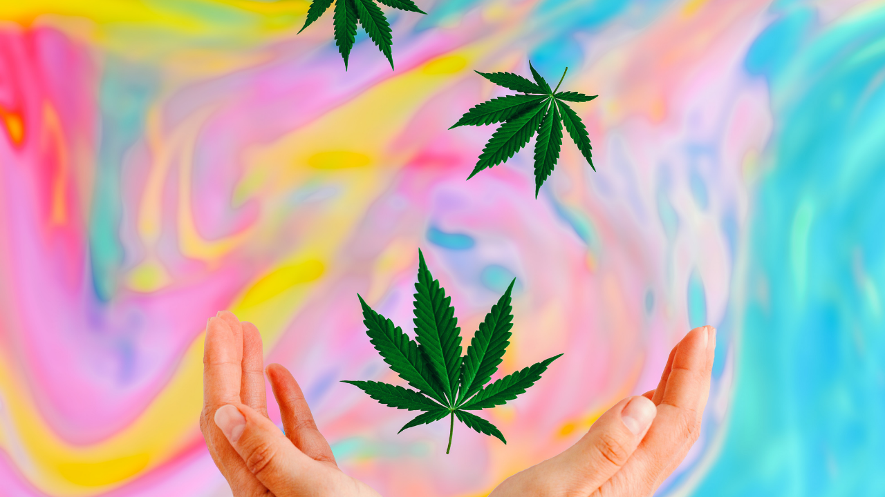 Hands reaching upward toward floating green cannabis leaves against a bright, swirling pastel background of pink, yellow, and blue.