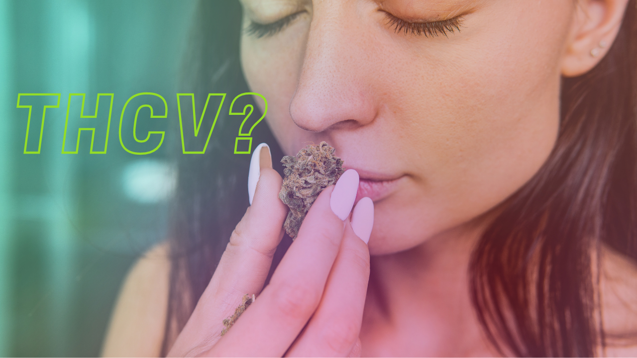 Close-up of a person smelling a cannabis bud held between their fingers, with overlaid text reading ‘THCV?’ on a soft green and pink background.