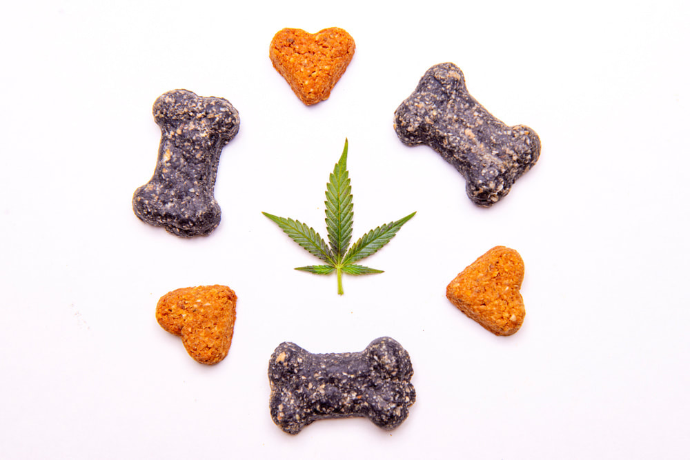 Assorted cannabis-infused dog treats shaped like hearts and bones arranged around a cannabis leaf on a white background.